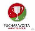 XIX Turniej Piłki Nożnej Drużyn Niezrzeszonych o Puchar Wójta Gminy Biłgoraj